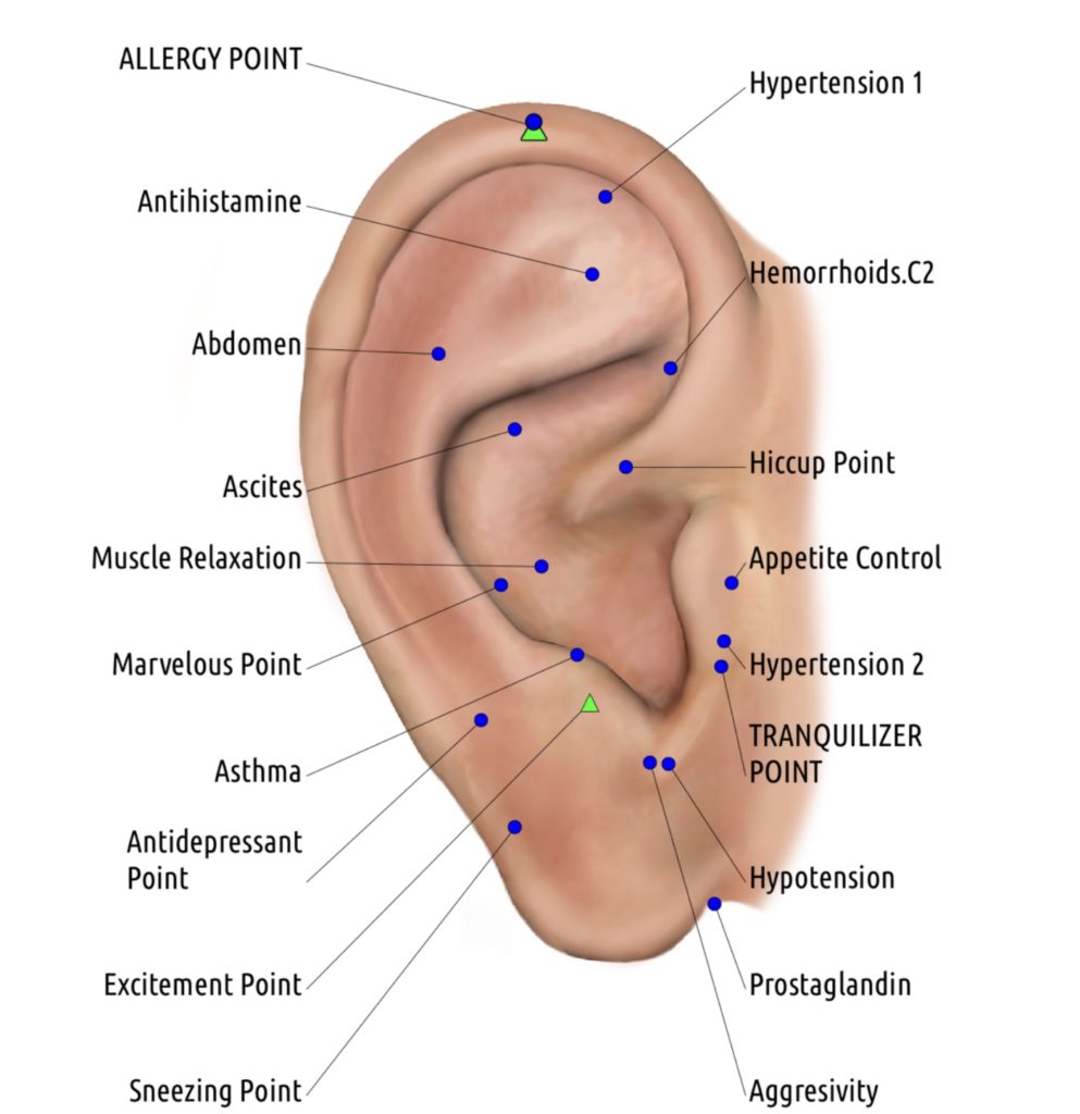 earseeds for stress