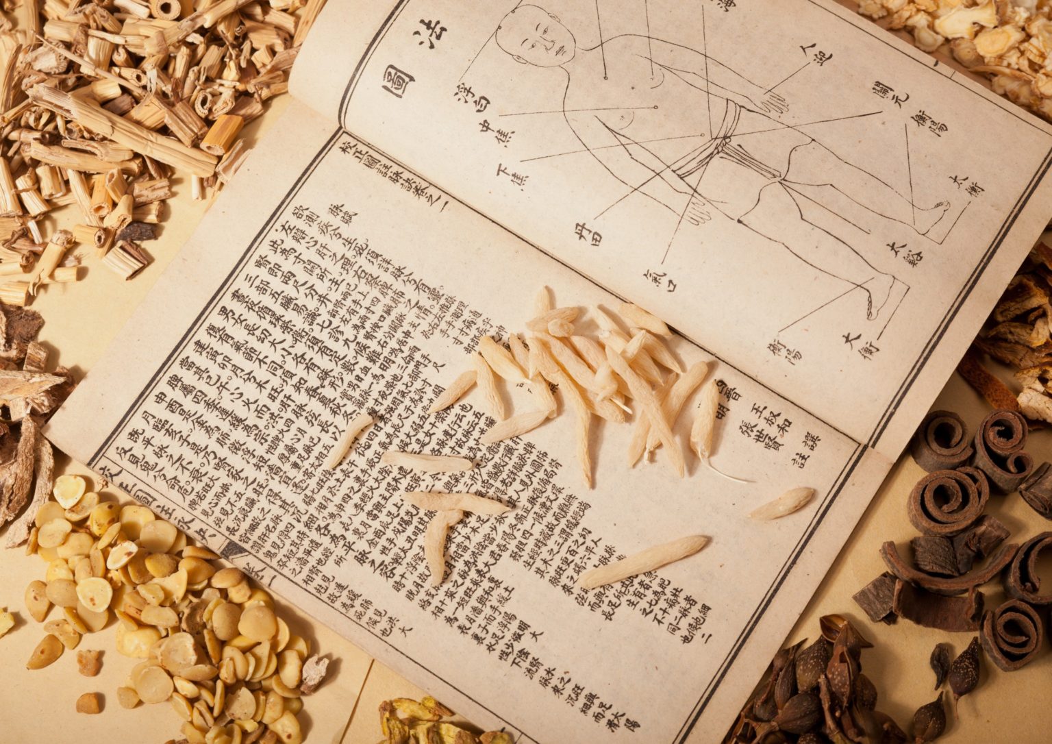 Chinese Herbal Formula For Constipation