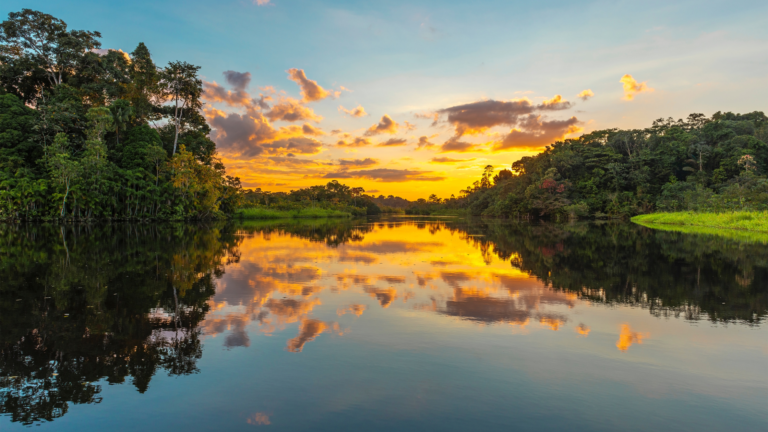 Holistic indigenous medicine proves to be helpful certain health concerns